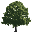 trunk/images/presets/tree.png